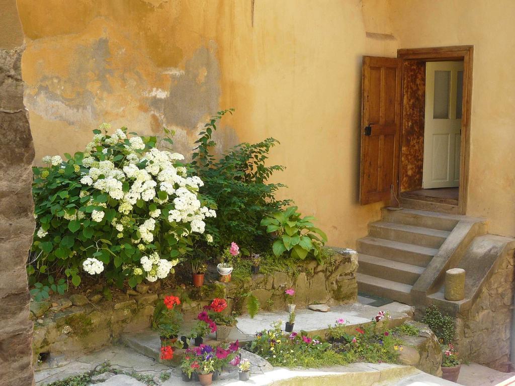 Casa Cojo Apartamento Sighişoara Quarto foto