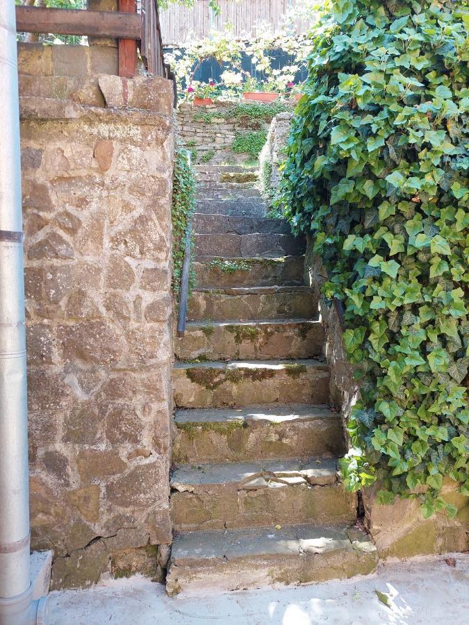 Casa Cojo Apartamento Sighişoara Exterior foto